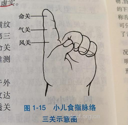 中医教你从“指纹”辨识小儿疾病