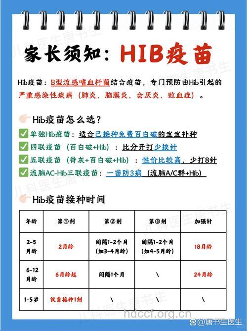 b型流感嗜血杆菌结合疫苗接种知识