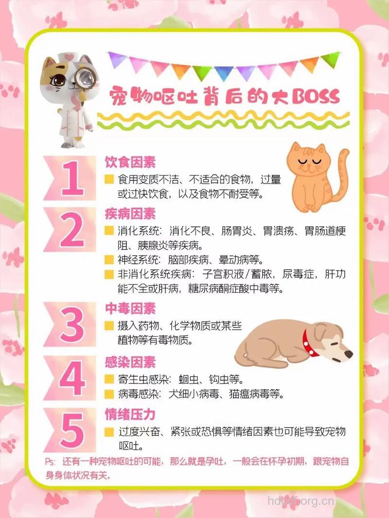 宝宝呕吐是怎么回事 怎么办