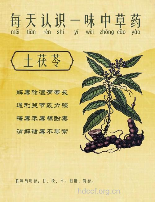 土茯苓可预防手足口病