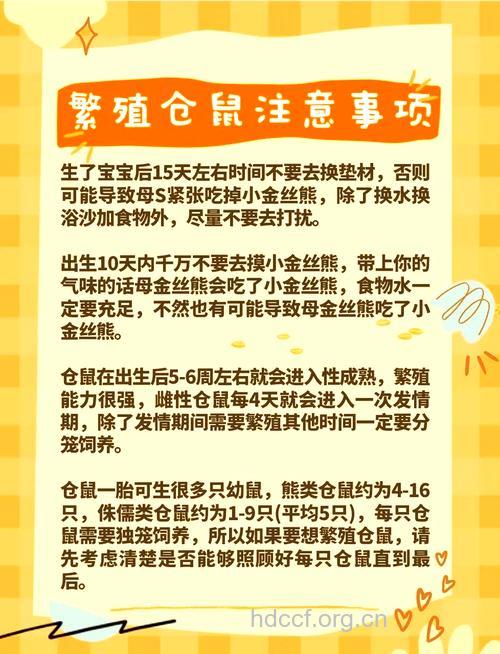 怀孕前家里有宠物怎么办