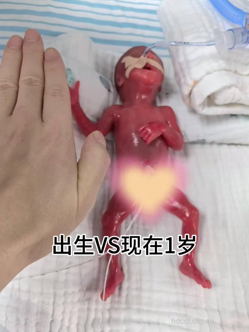 科学揭秘 生出天才宝宝的4迹象