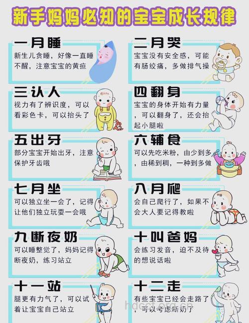 儿童体格发育的有哪些规律?