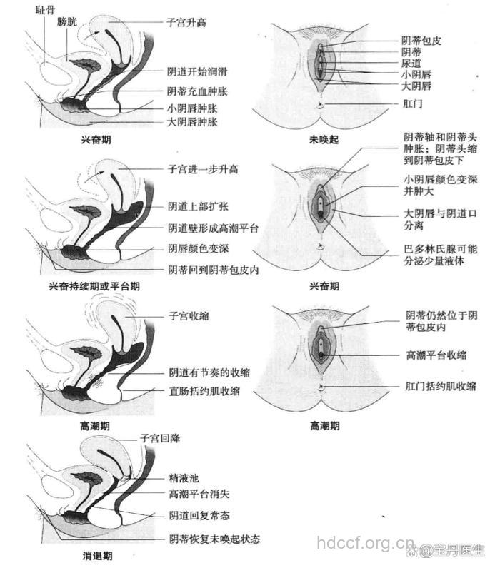 流产后如何让私处更紧实