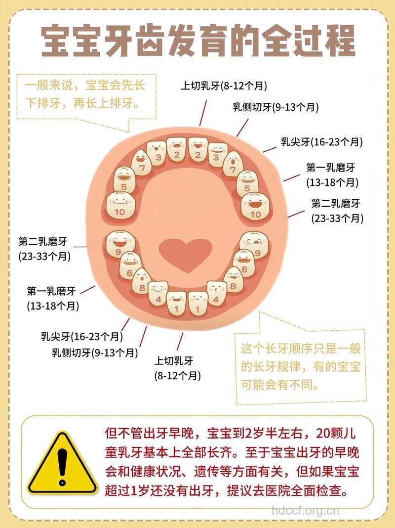 让宝宝牙齿健康的成长