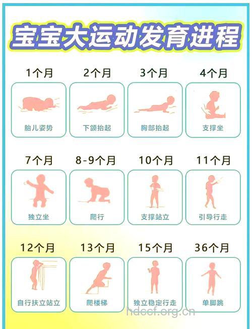 宝宝爬行的实际意义