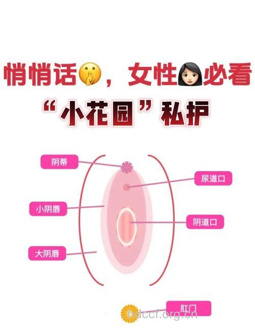 女人私密处的12个怎么办