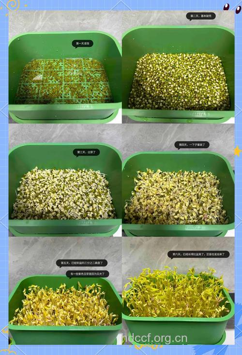 “播种”前做好7个1的准备