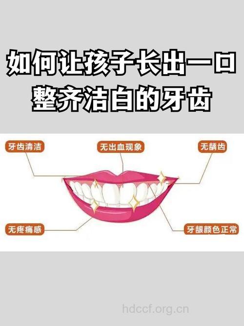 远离误区让小宝宝长一口好牙