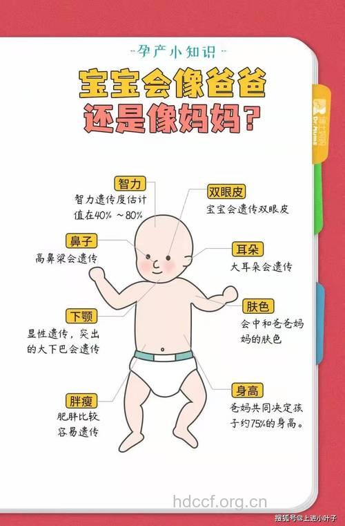 揭开孩子长相遗传的8个秘密
