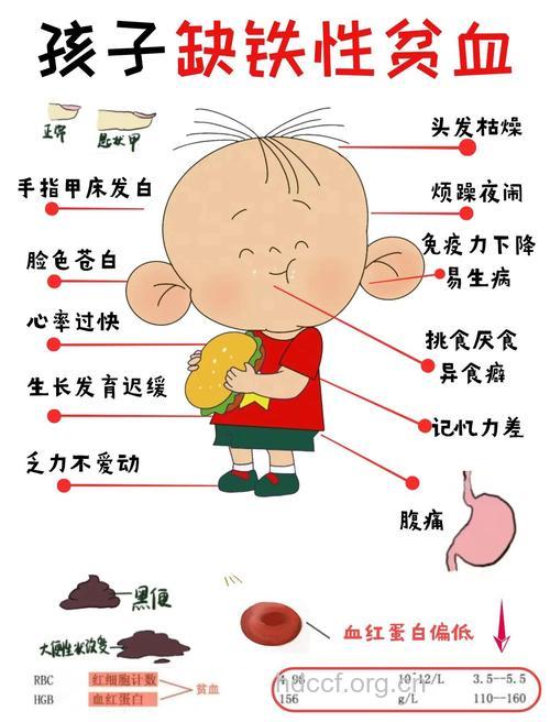 妈妈必知:容易患贫血小孩子