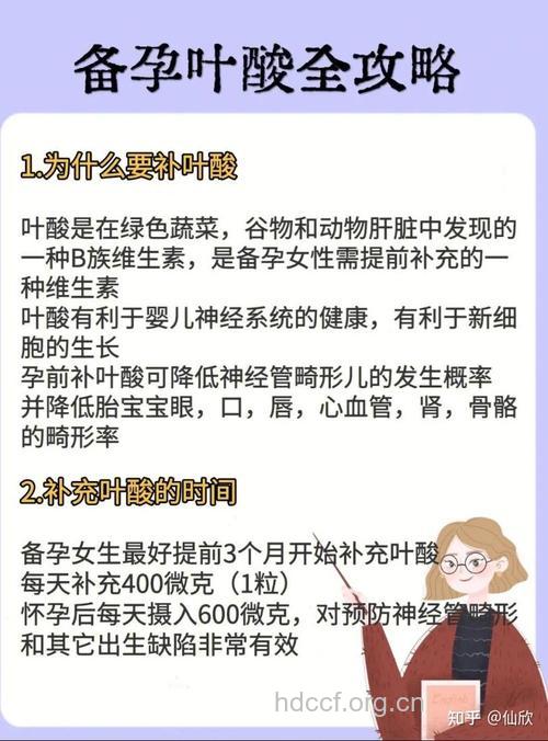 叶酸什么时候开始吃 别错过黄金期