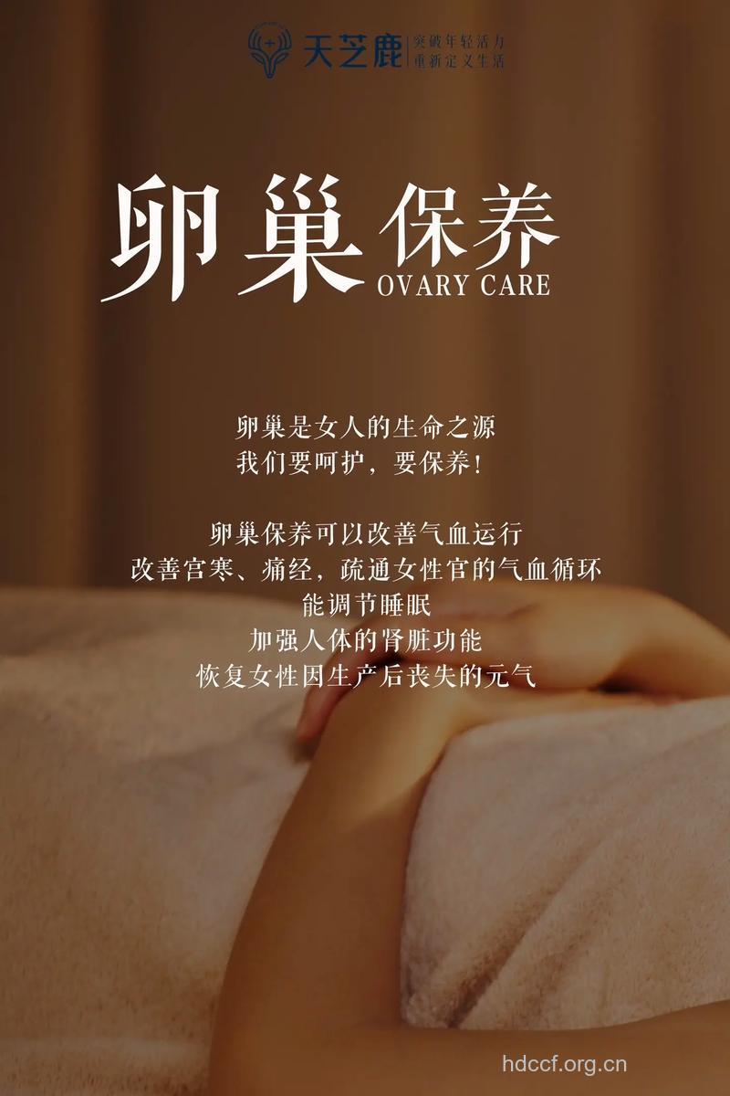 呵护好卵巢才能交“好孕”