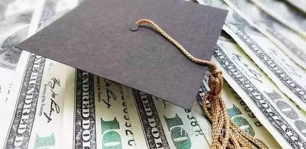 一个“美国宝宝”可值980万?