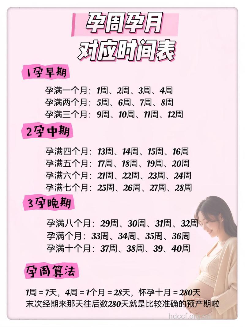 准爸妈孕前准备工作 受孕倒计时9个月