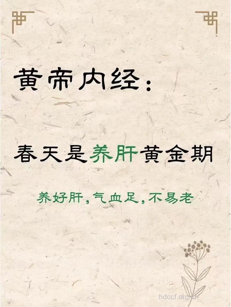 想要备好孕 春季女性养肝护肝是关键