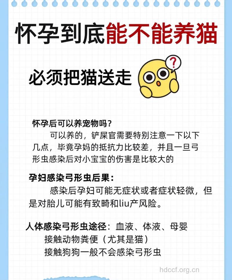 孕前忌养猫咪