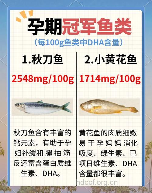 孕妇多吃鱼有利宝宝健康