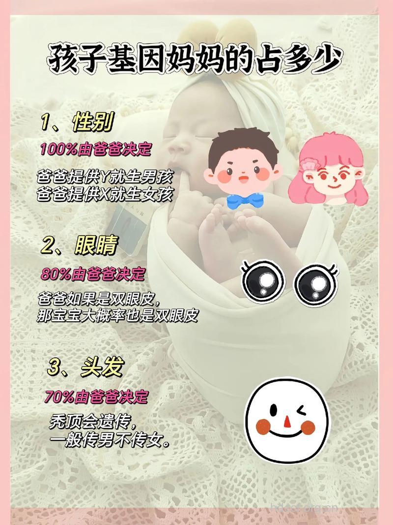 父母谁的基因决定Baby的外貌