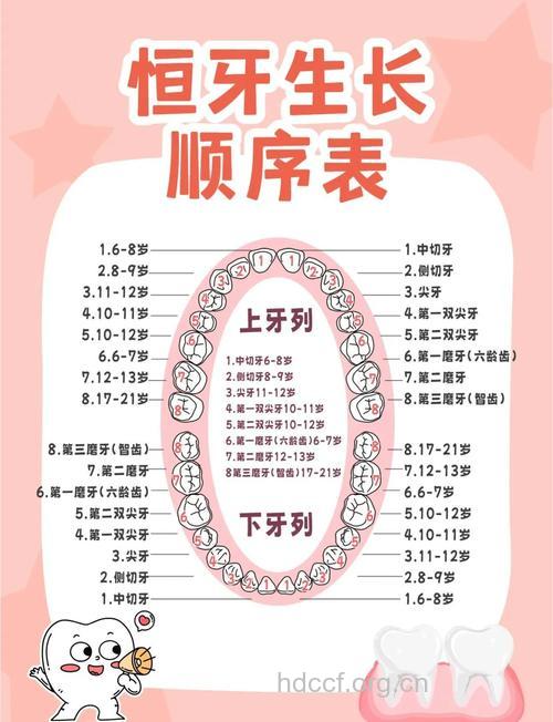 细数:孩子牙齿的几个关键期