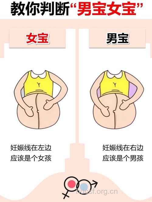 妊娠纹判断生男生女科学吗