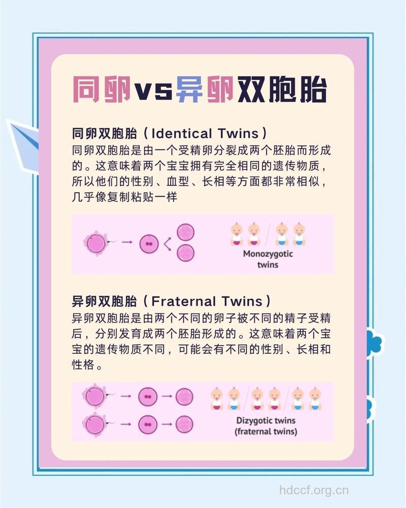 双胞胎是怎么形成的 生双胞胎的秘诀