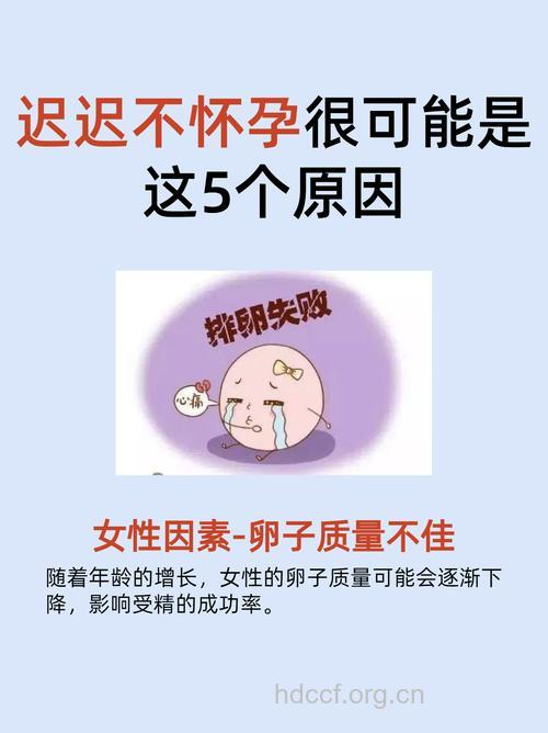 “孕”气太差 或可能是卵子老化了