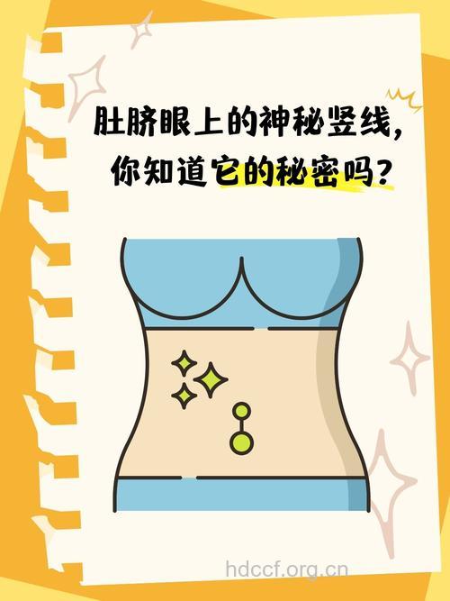 看肚子上一条竖线可预知男女 靠谱吗