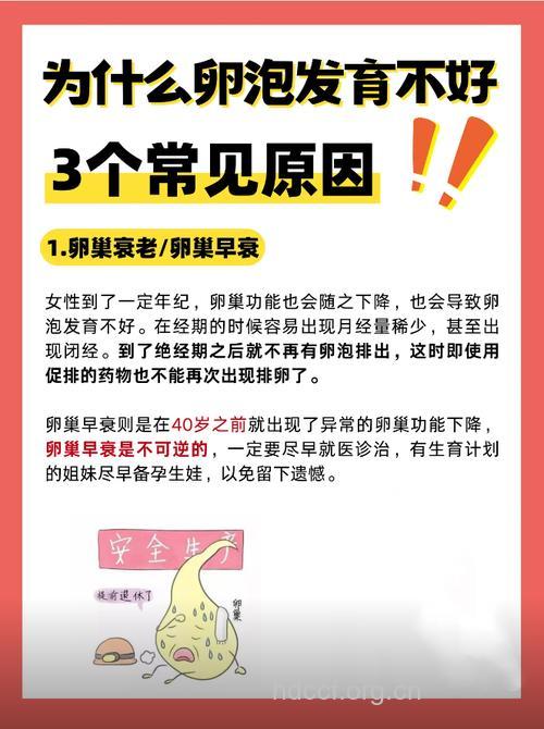 女性卵泡不发育怎么回事