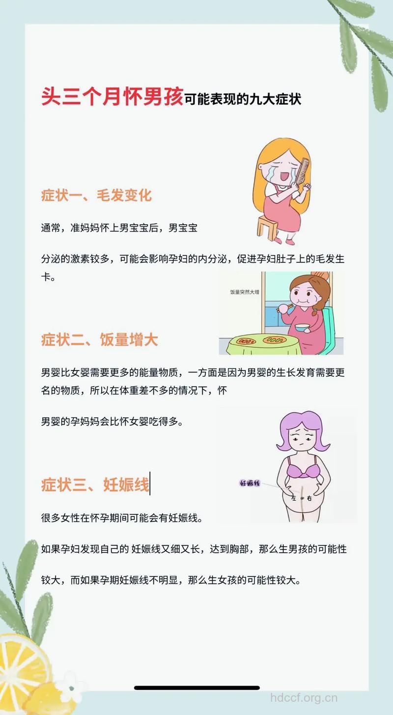 怀孕初期症状提示可能是个男孩