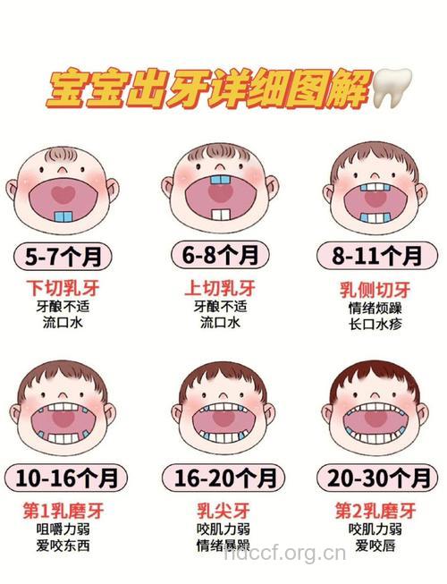 宝宝出牙前后的家庭护理大全