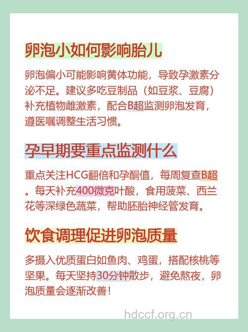 卵泡发育小怎么回事 可以怀孕吗