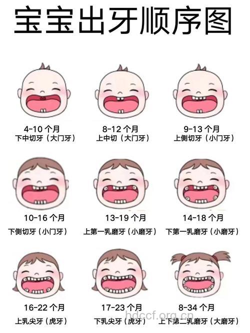 宝宝如何才能长出健康牙齿?