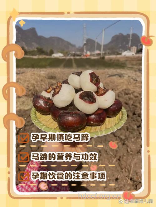 孕期能吃马蹄吗 吃了真的会流产吗