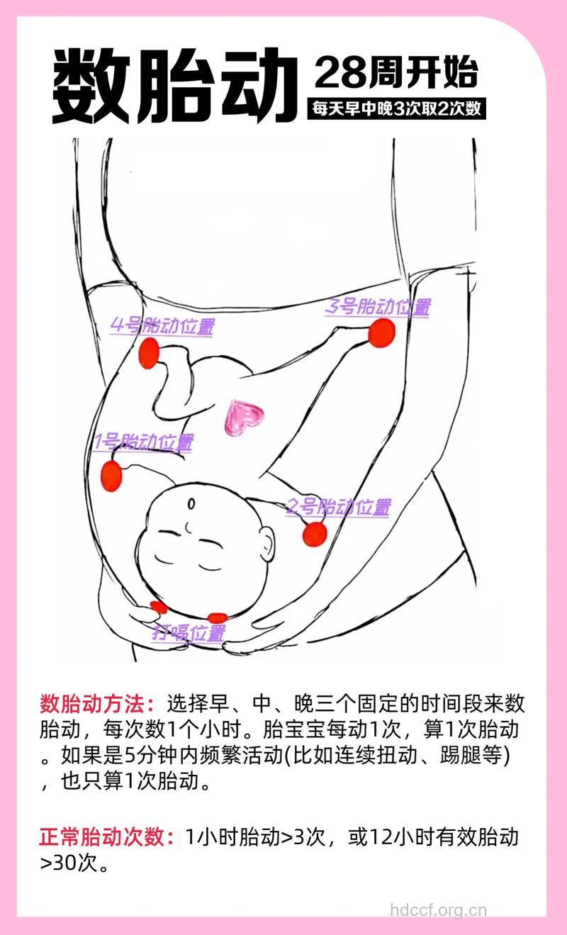 民间流传 如何从胎动看怀的是男是女