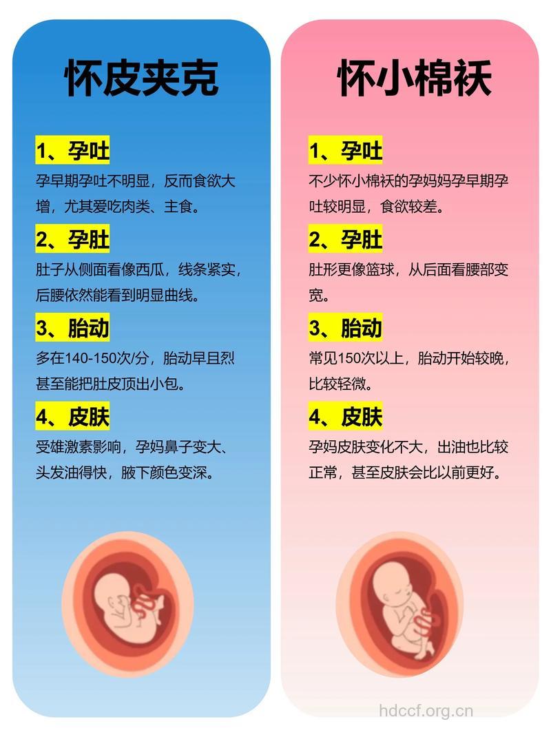 如何判断怀男孩还是女孩