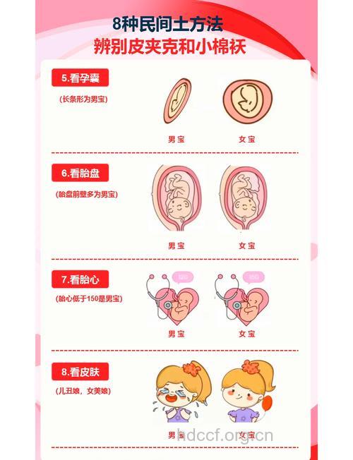 识别胎儿性别的8种说法