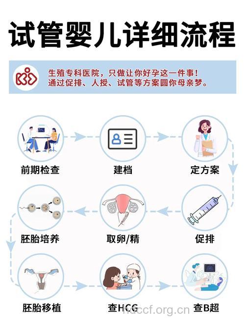 试管婴儿的具体操作步骤
