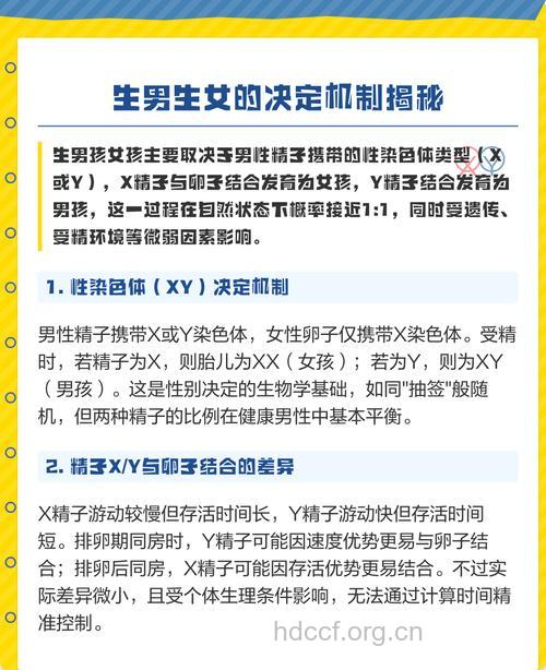 生男生女的7大决定性因素