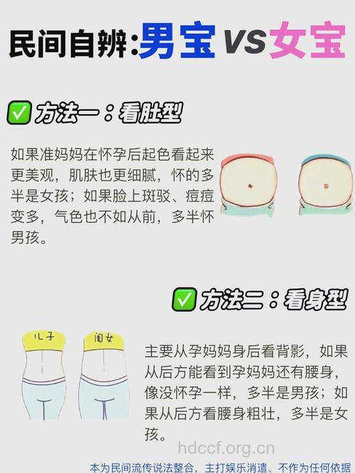 决定胎儿性别的6种靠谱说法