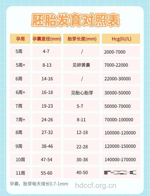 做人流手术前 应先看孕囊大小