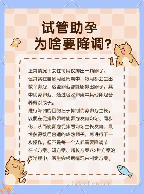 做试管婴儿为什么要降调 降调的作用