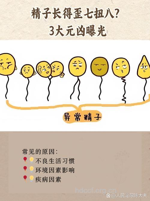 精子太丑难怀孕 让精子变丑的四大习惯