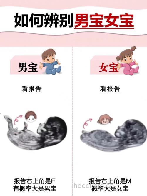 胎儿性别是不是受大气污染影响