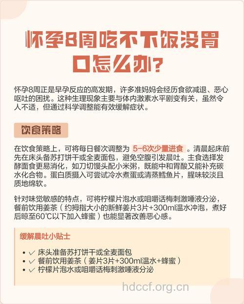 夏季孕妈没胃口吃饭怎么办？试试这些方法