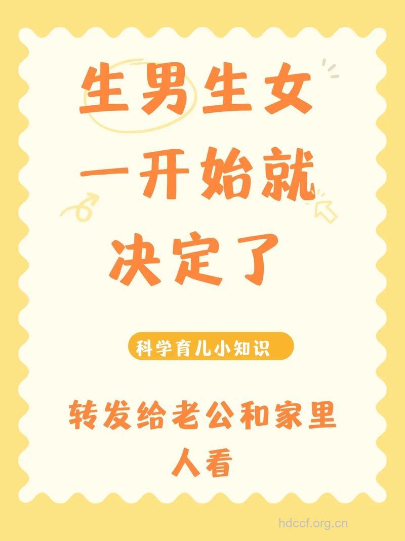 准爸累不累影响生男生女