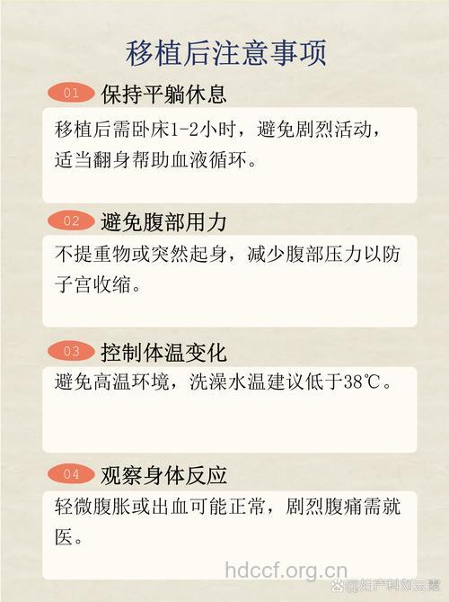 试管婴儿胚胎移植的注意事项