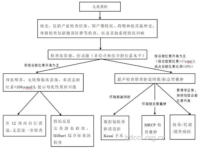 解读：新生儿黄疸的诊疗过程