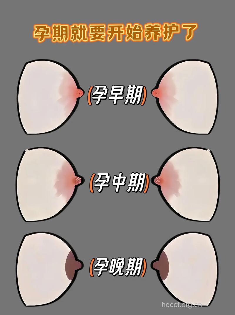 根据孕妇乳晕颜色看生男生女