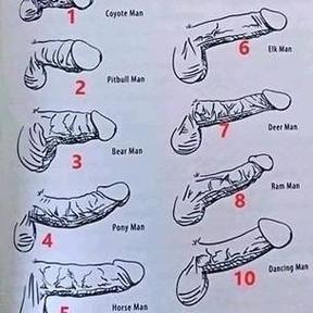 男性阴茎尺寸影响女性受孕吗